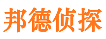 镇安市调查公司